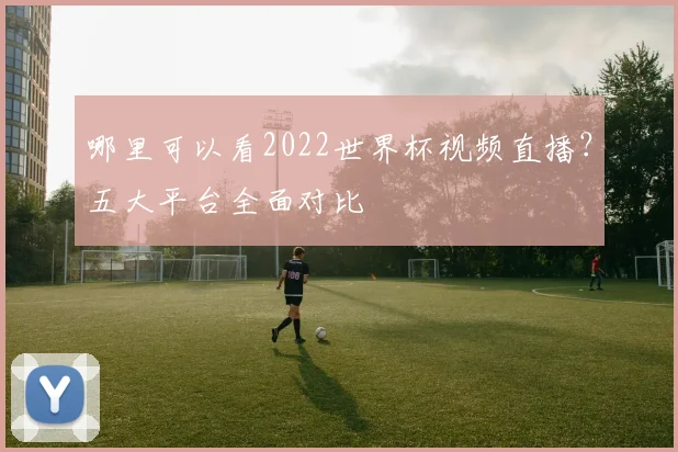 哪里可以看2022世界杯视频直播？五大平台全面对比